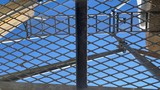 足場と梯子。修復/リフォーム/建築現場/工事中イメージ