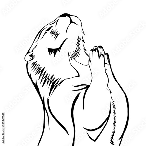 Sketch design of illustration beaver 