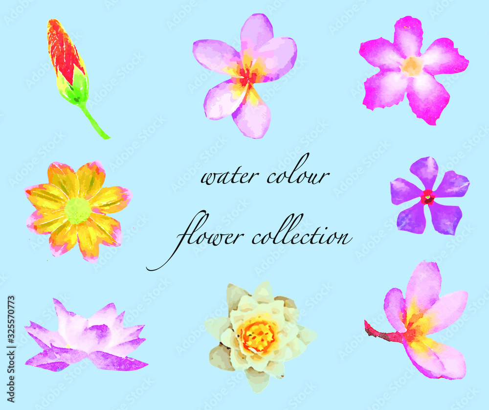 Set of colorful watercolor flowers. vector illustration
