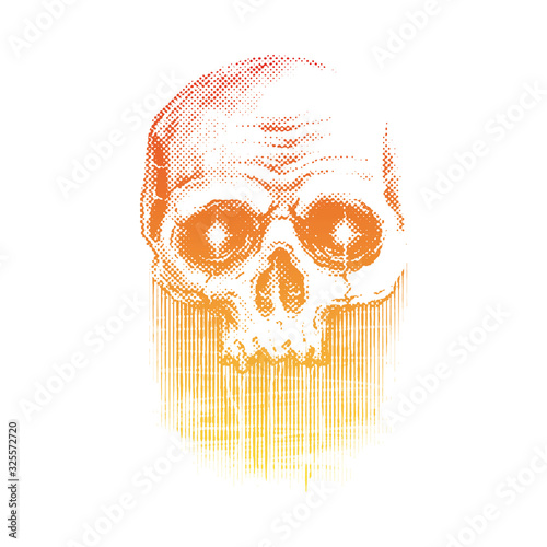 Skull gradient graphic illustration vector art t-shirt design