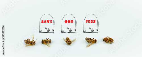 A line of dead bees Save our Bees text on drawn headstones, decline in bees due to habitat destruction, pollution and pesticide use