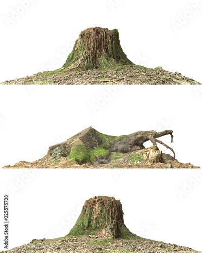 Stump dead tree isolated on white 3d illustration