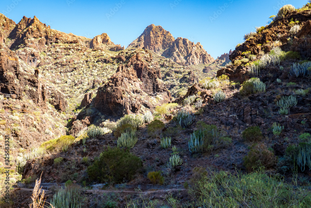 Los Gigantes, Teneriffa, Spanien, im Sommer