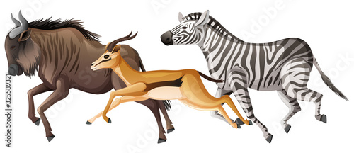 Group of wild animals running on white background