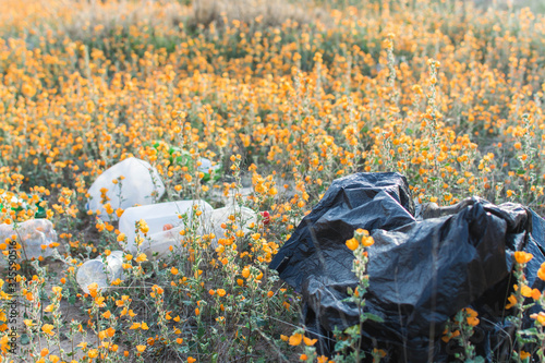 Trash over ground covered by orange small flowers