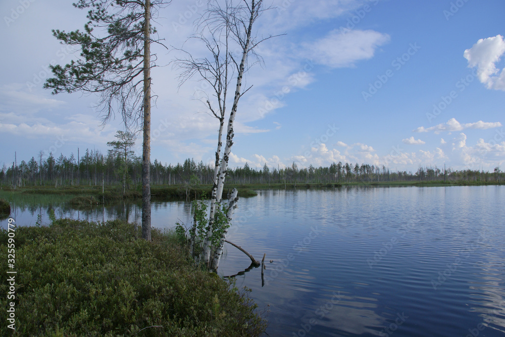 view of taiga lake