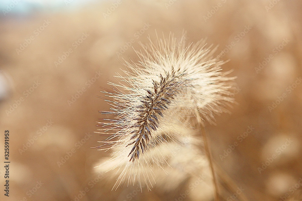 Obraz premium 시흥갯골생태공원입니다