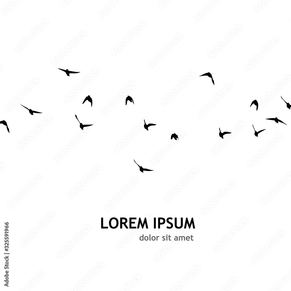 Fototapeta premium A flock of flying birds silhouette. Vector illustration
