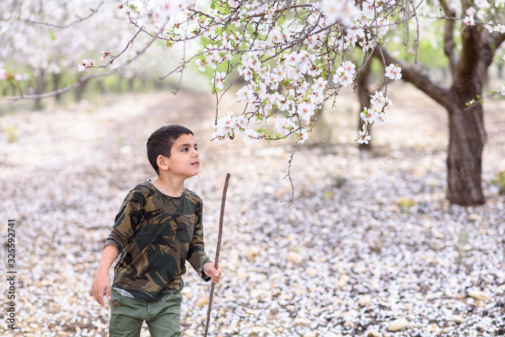 Portrait a small middle eastern boy walks and smelling flowers in a beautiful summer garden with blossom trees.Kid holding stick, having fun outside.