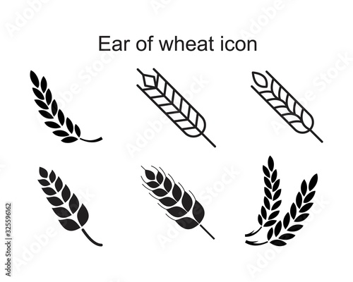 Ear of wheat icon template black color editable. Ear of wheat icon symbol Flat vector illustration for graphic and web design.