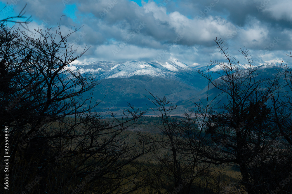 trees and  snowy mountains