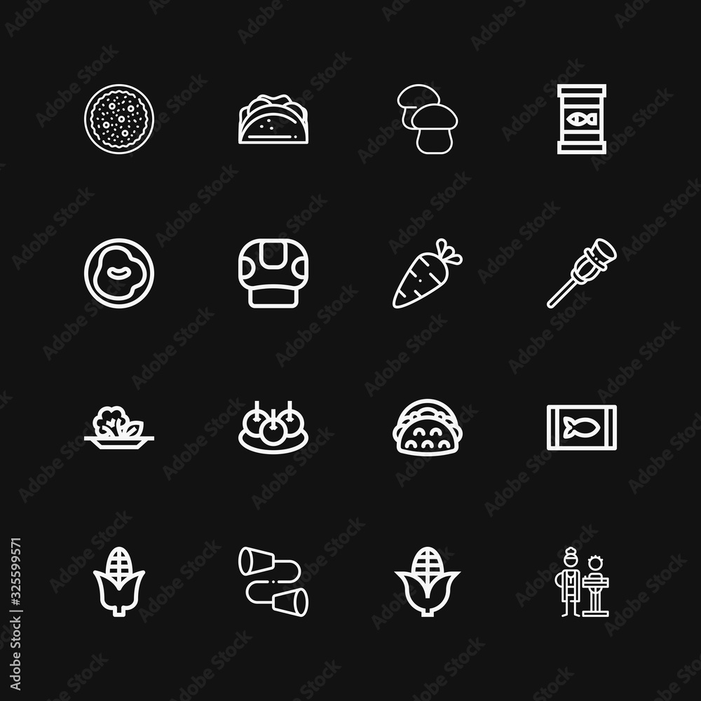 Editable 16 vegetable icons for web and mobile