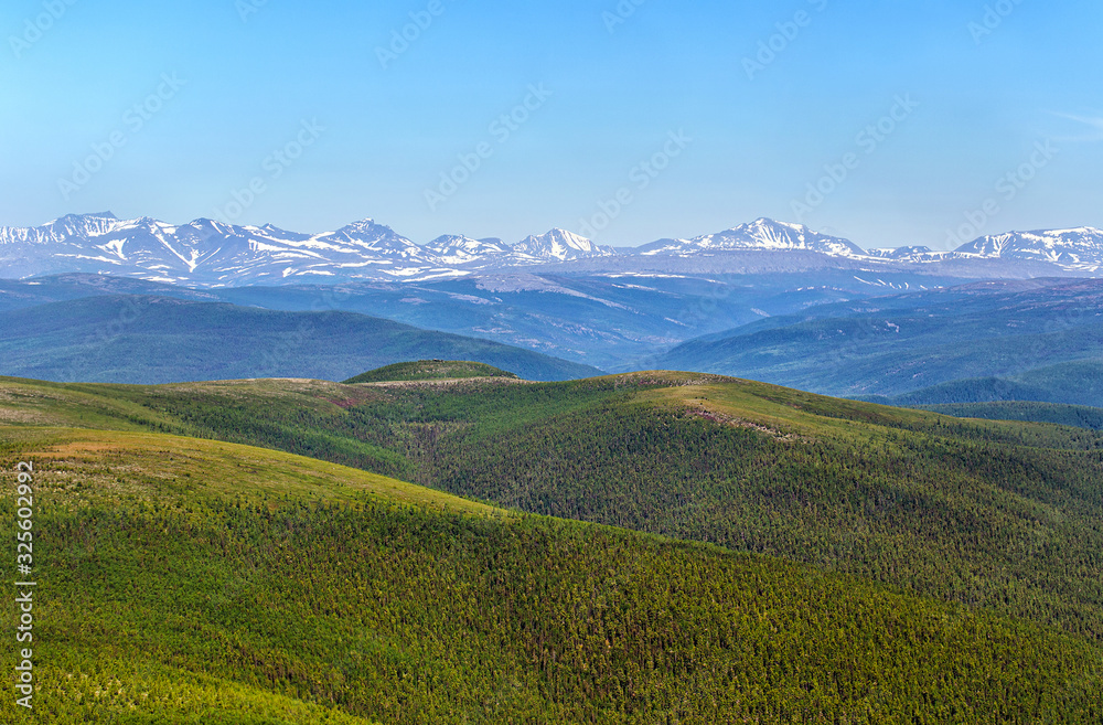Mountains covered with glaciers and endless forest. View from above