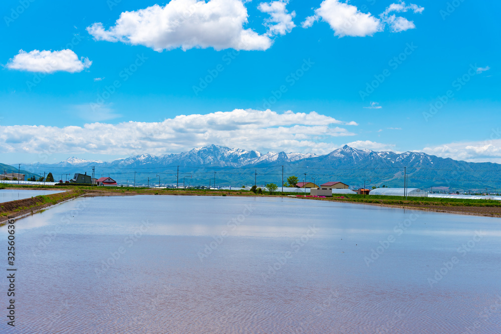 Vast blue sky and white clouds over paddy farmland field in clear blue sky sunny day in springtime. Panoramic rural landscape with mountains