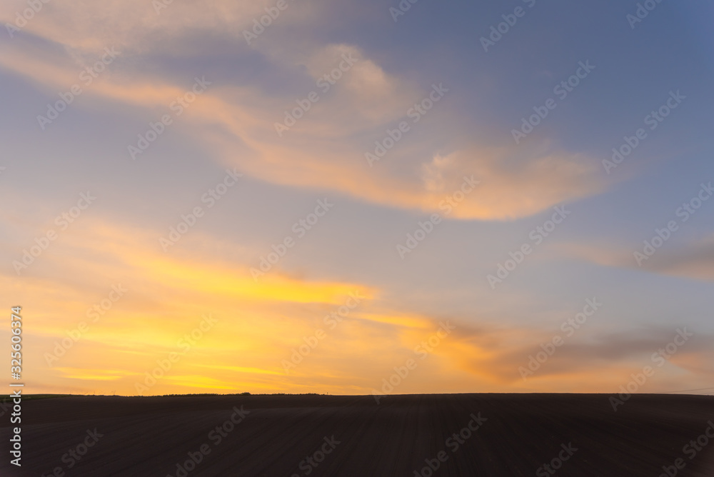 Scenic countryside sunset landscape with a plain wild grass field horizon view and a beauty rosy clouds background