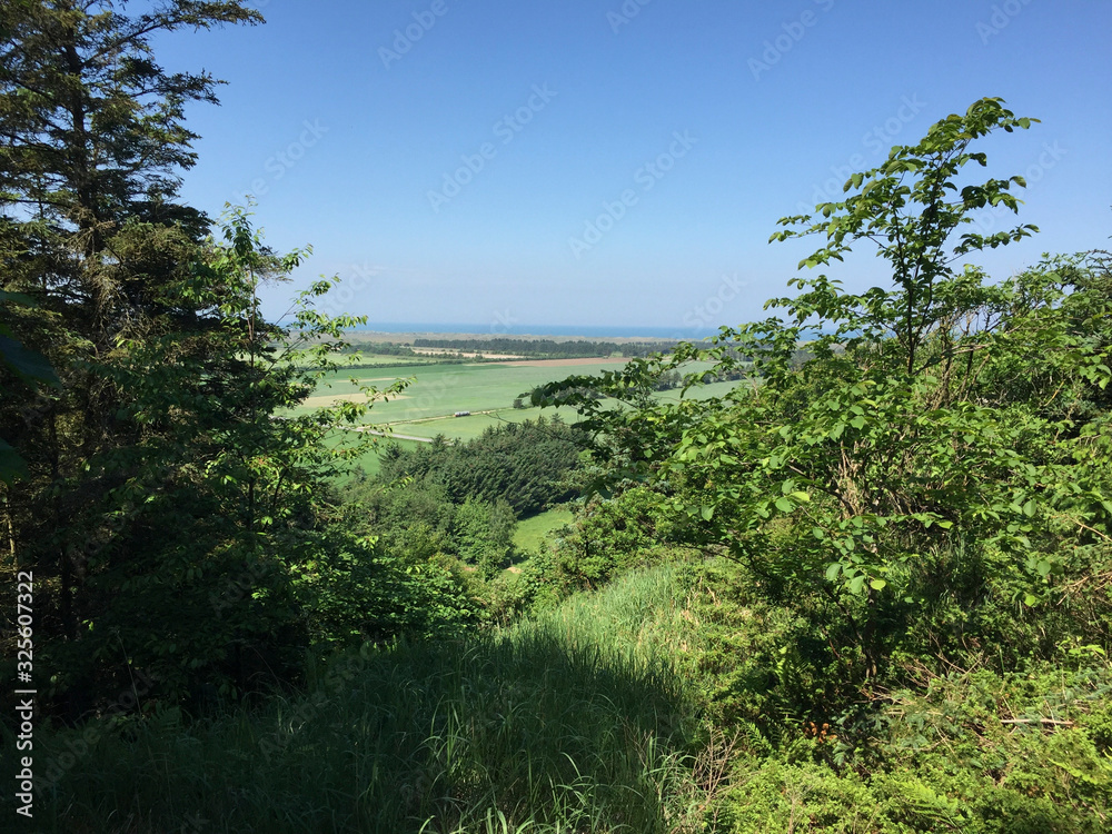 Obraz premium The view