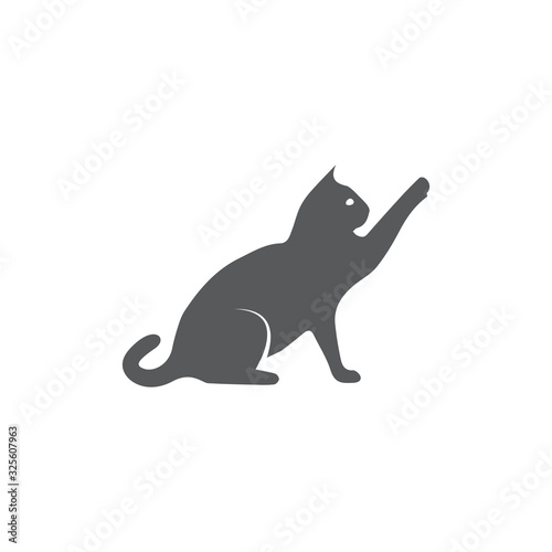 Cat icon on white background