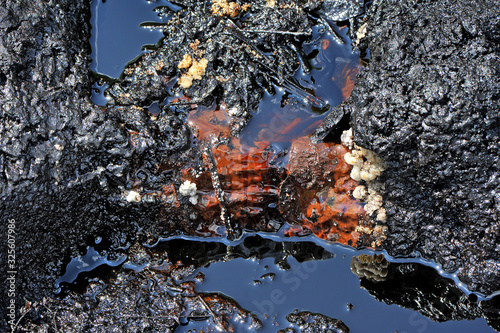 Abstract background. Spills of crude oil on the soil surface - environment pollution.