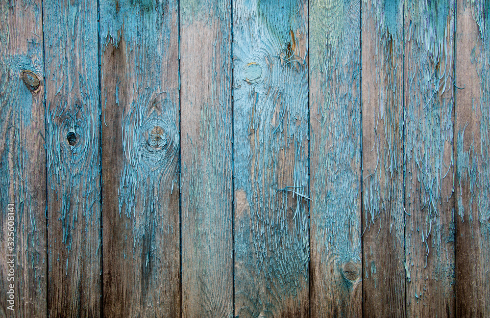 Naklejka premium Battered faded old light blue painted vertical wooden boards with peeling. Wooden abstract background, texture.