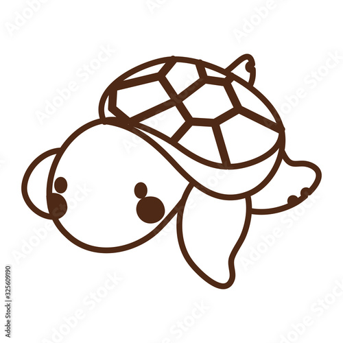 turtle sea life animal isolated icon