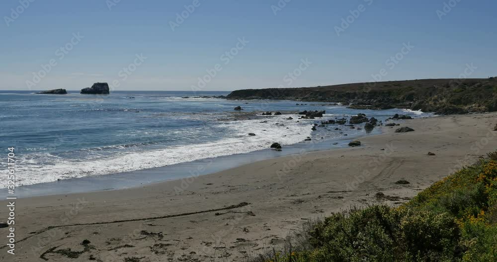 Elephant Seals in San Piedras Blancas Rookery in San Simeon California Elephant Seals in San Piedras Blancas Rookery in San Simeon California