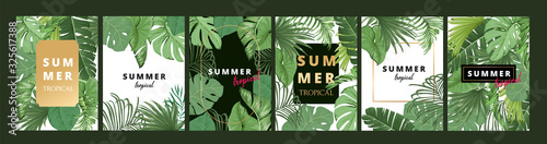 summer and tropical wedding invitation card, Social media page and Story, Party and invite card design collection. Natural Green and golden cover design vector illustration.