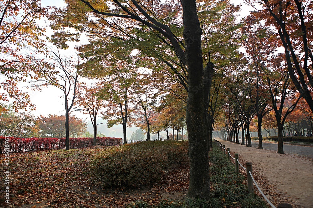 Naklejka premium 인천대공원입니다