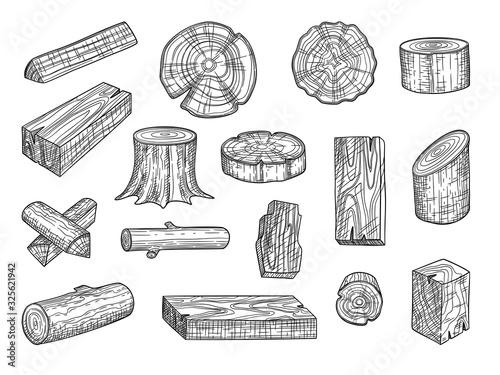 Lumber. Wooden trunks branch oak stacked log from tree vector hand drawn set. Lumber trunk wooden, hardwood oak, wood structure stump illustration