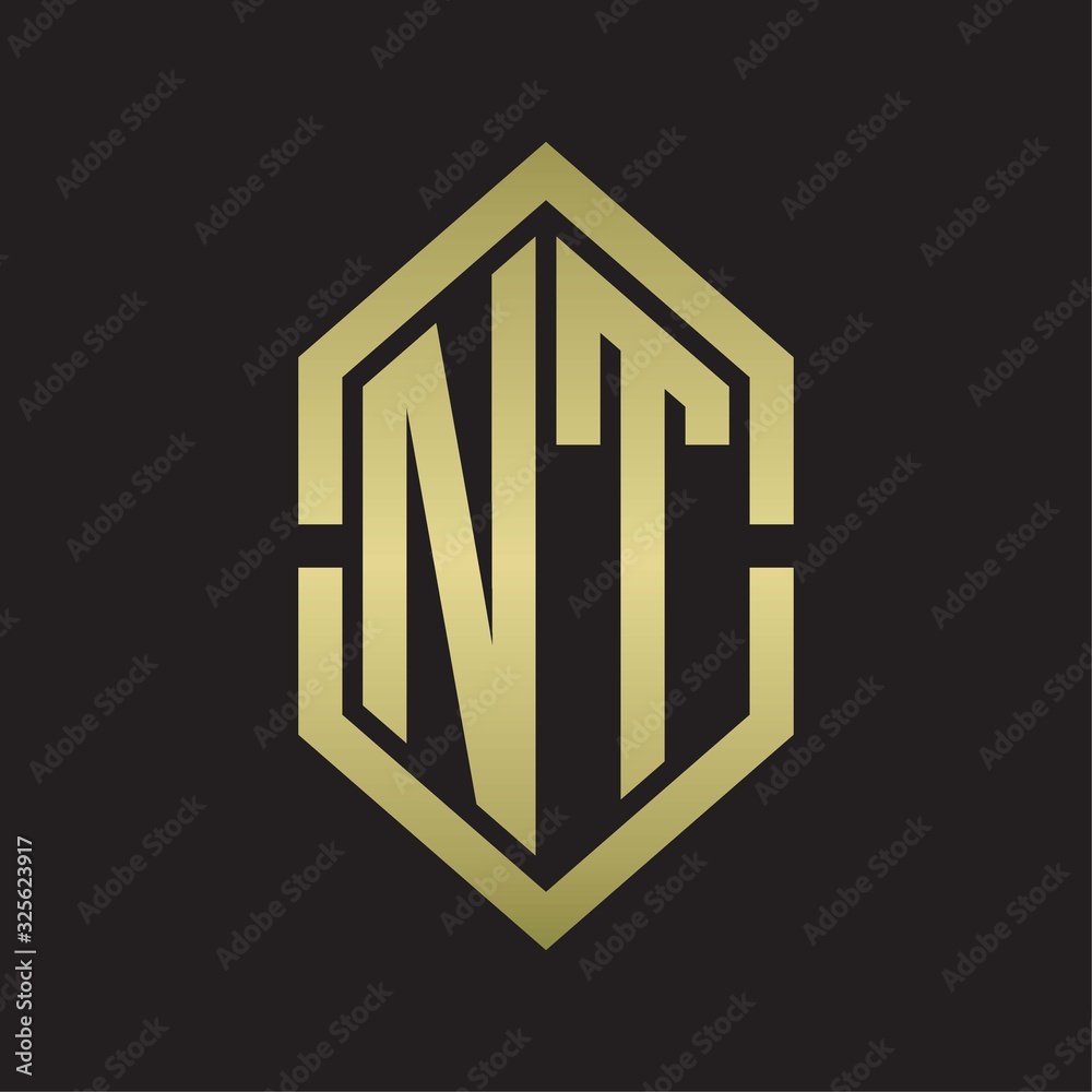 NT Logo monogram with hexagon shape and outline slice style with gold colors NT Logo monogram with hexagon shape and outline slice style with gold colors