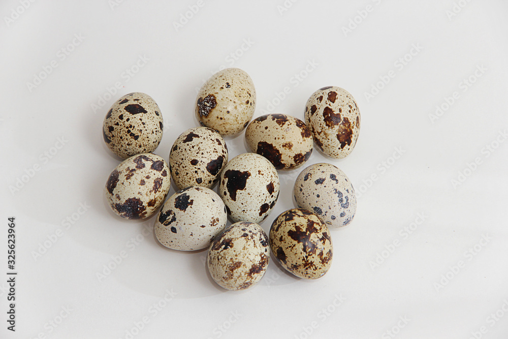 quail eggs on a white background quail eggs on a white background