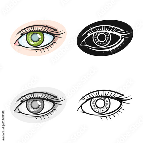 Vector design of eye and eyesight icon. Web element of eye and diagnostic stock vector illustration.
