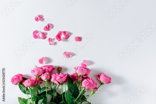 Pink roses lying on a white background. The background is filled with randomly scattered pink petals