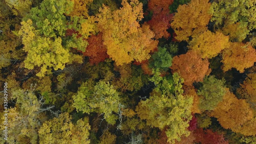 Aerial: top view of autumn trees with green, yellow, orange and red crowns. Charming deciduous forest. Flying a drone over beautiful landscapes in the countryside Aerial: top view of autumn trees with green, yellow, orange and red crowns. Charming deciduous forest. Flying a drone over beautiful landscapes in the countryside