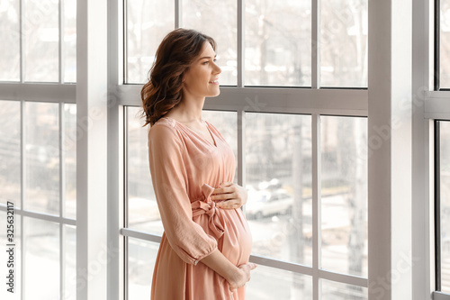 Beautiful pregnant woman near window at home © Pixel-Shot