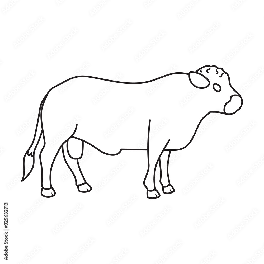 Bull vector icon.Outline vector icon isolated on white background bull.