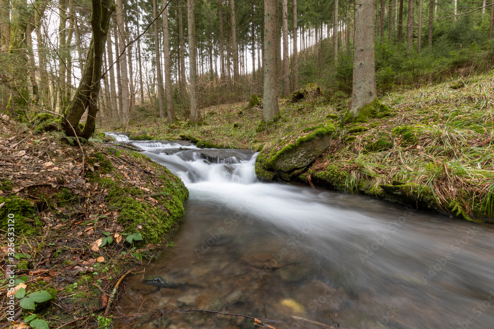 Bach im Wald mit Wasserfall