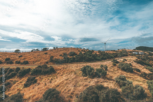 Landscape of Makara Beach in Wellington, New Zealand  photo