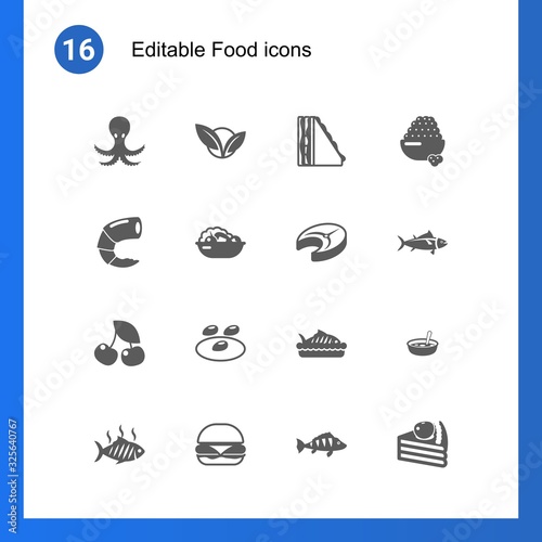 16 food filled icons set isolated on . Icons set with octopus, vegetarian, sandwich, shrimp, Salad, fish steak, cherry, seeds, baked fish, grilled fish, burger, perch, caviar icons.