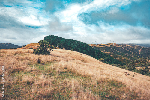 Landscape of Makara Beach in Wellington, New Zealand  photo