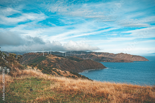 Landscape of Makara Beach in Wellington, New Zealand  photo