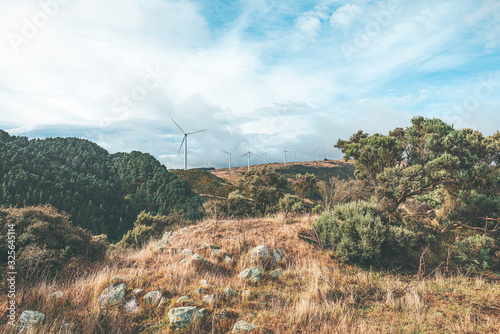 Landscape of Makara Beach in Wellington, New Zealand  photo