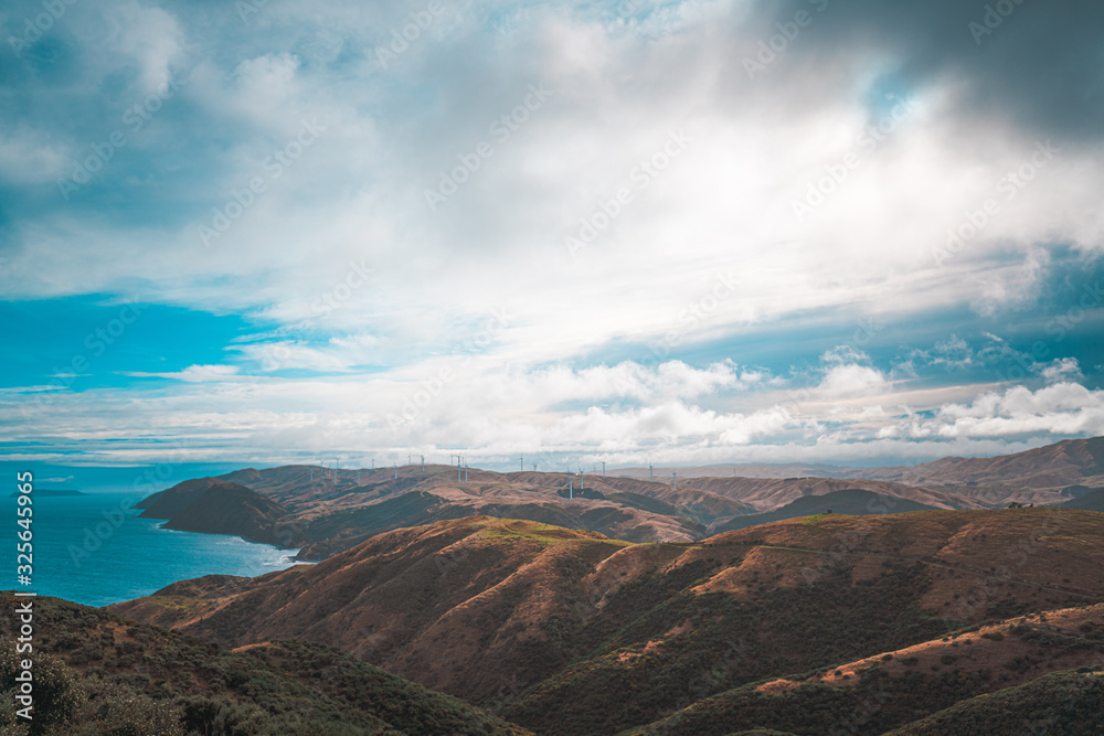 Fototapeta premium Landscape of Makara Beach in Wellington, New Zealand 