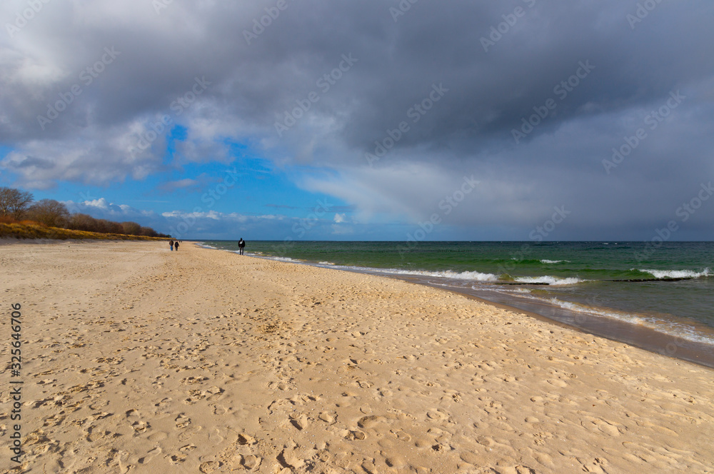 Fototapeta premium On the island of Usedom, Baltic Sea, in winter.