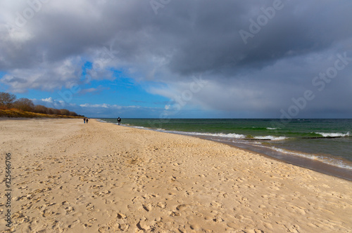 On the island of Usedom  Baltic Sea  in winter.