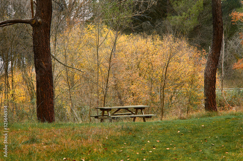 Un descanso en el bosque