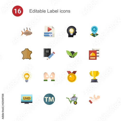 16 label flat icons set isolated on . Icons set with grilled fish, Video Compression, Creative people, leather, Stationery, vegetarian, Idea, Handmade, medal, 4K Streaming icons.
