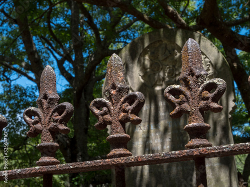 Tombstones at Symonds Cemetry Graveyard Auckland New Zealand photo