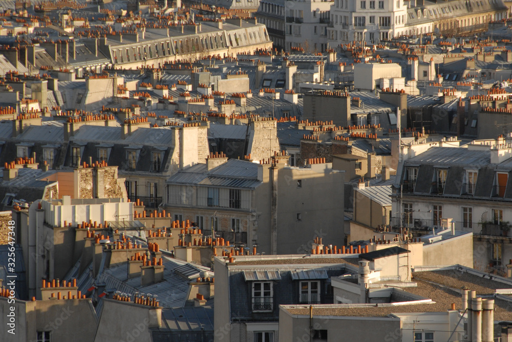 Fototapeta premium Rooftops in Paris