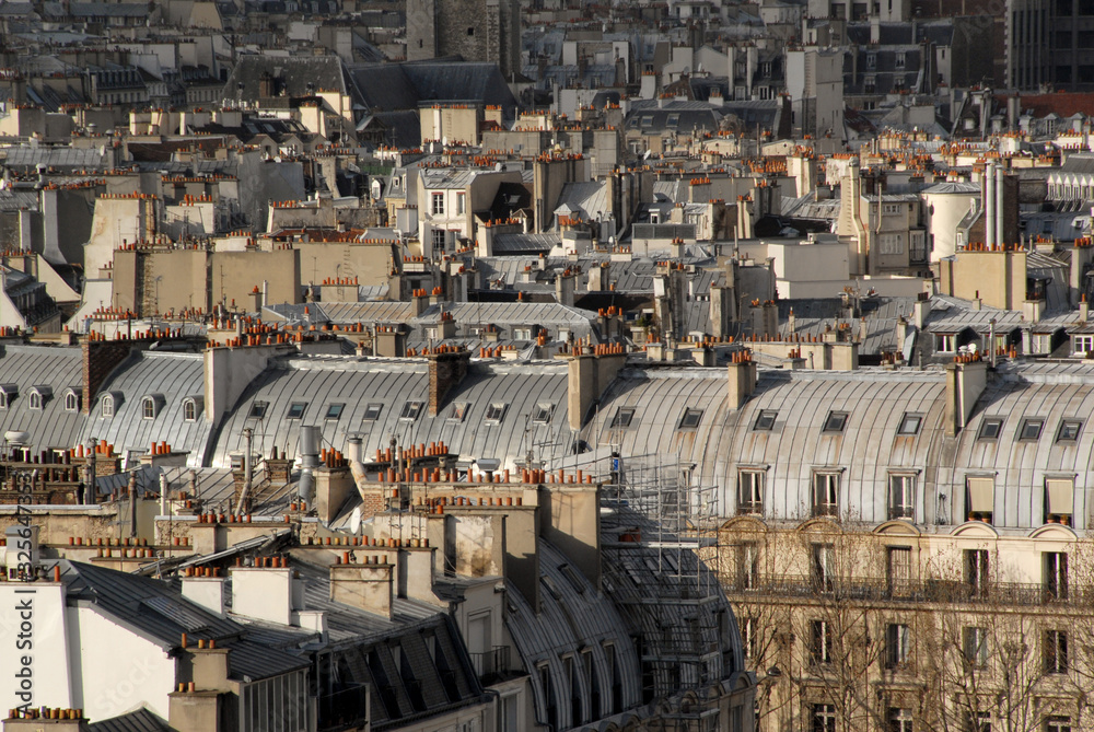 Fototapeta premium Paris cityscape with chimneys