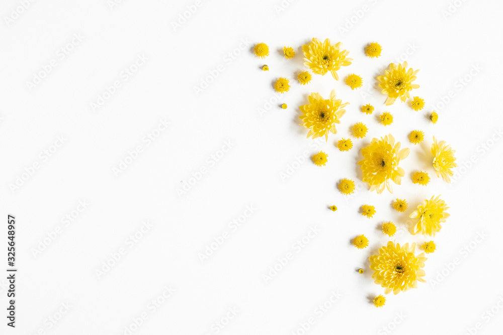 Flowers composition. Yellow chrysanthemum flowers on white background. Flat lay, top view - obrazy, fototapety, plakaty 